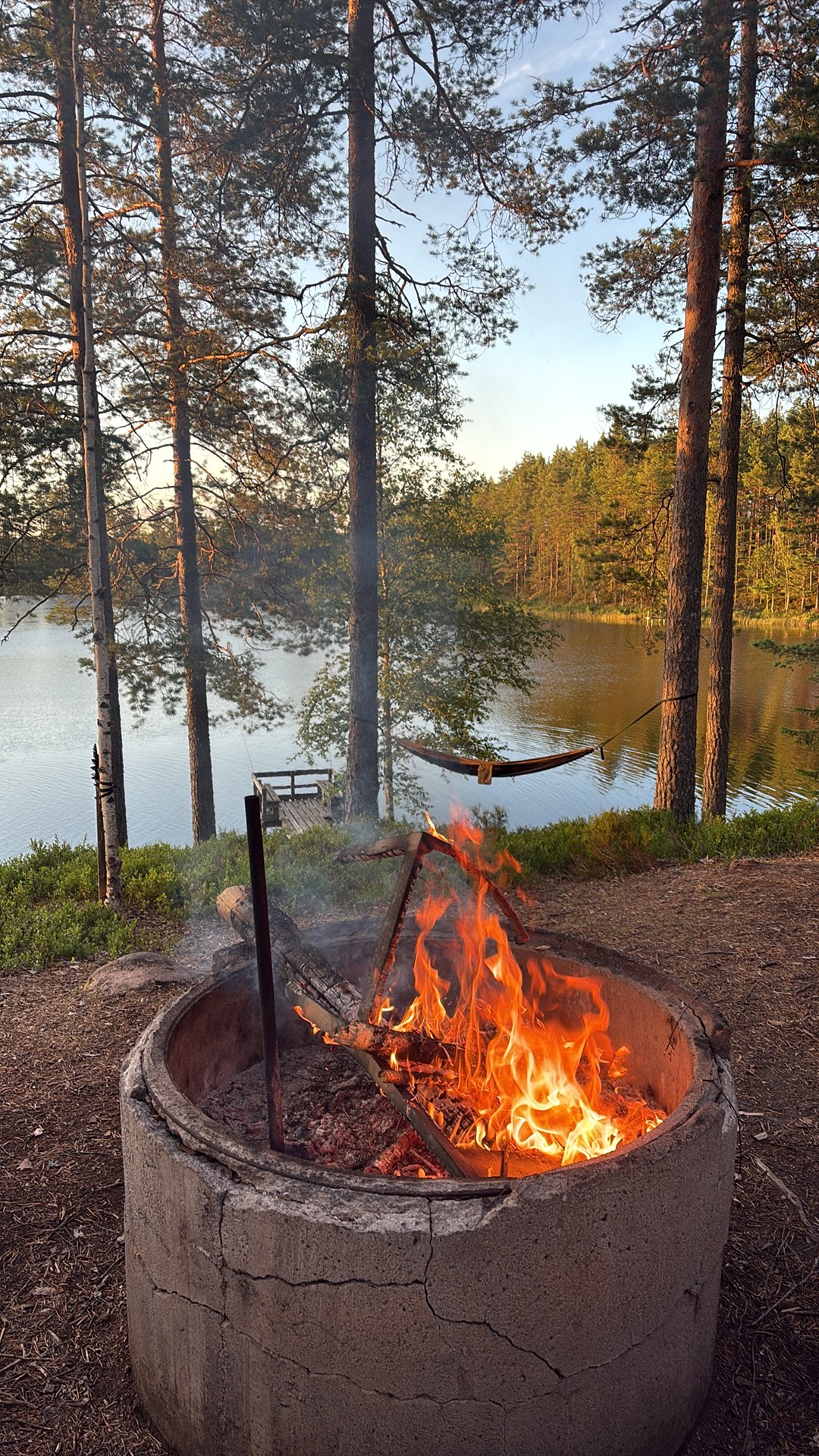 Lägereld vid skogssjö i solnedgång